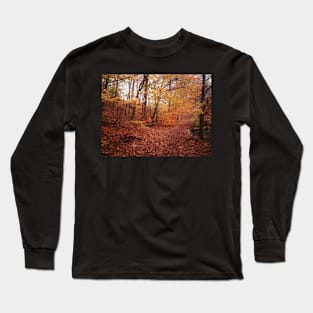 The bench Long Sleeve T-Shirt